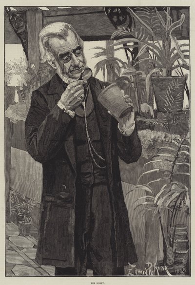 Hans hobby av Edward R. King