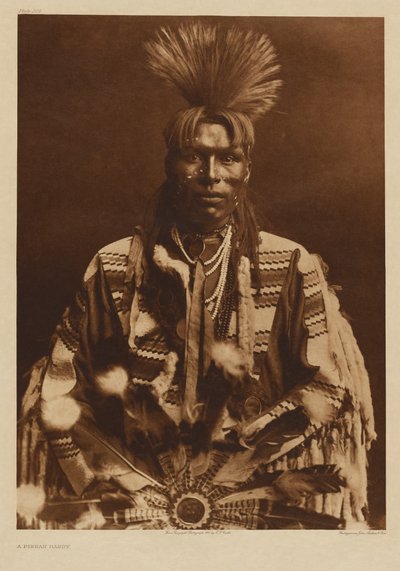 [En piikani-man i traditionell klädsel] av Edward S. Curtis