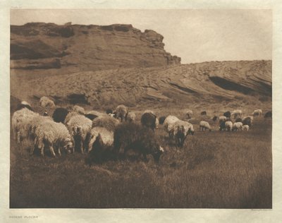 Portfölj I, plansch 33: Navaho-flockar av Edward S. Curtis
