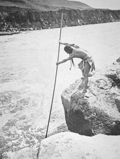 Chinook-människor som spjuter lax i Columbiafloden (s/v-foto) av Edward Sheriff Curtis