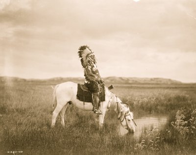Oasis in the Badlands 1905 (foto) av Edward Sheriff Curtis