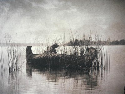 The Rush Gatherer, Montana (s/v foto) av Edward Sheriff Curtis