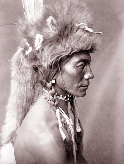 Gul njure, Piegan av Edward Sheriff Curtis