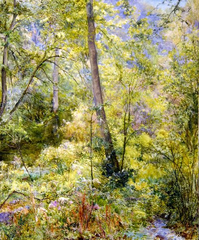 Prickigt solljus, Sheepscombe Woods av Edward Steel Harper