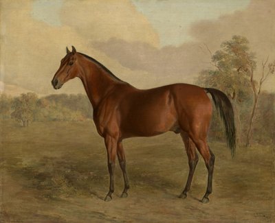 Kentucky hackspett, 1834 av Edward Troye