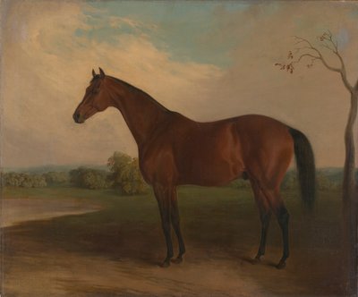 Suverän av Edward Troye