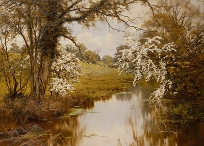 Where Spreading Hawthorns Gaily Bloom (olja på duk) av Edward Wilkins Waite