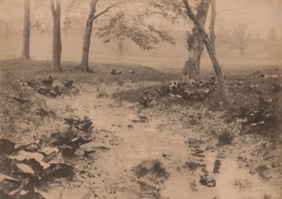 Vårlandskap,1890-talet (foto) av Edward Willis Redfield