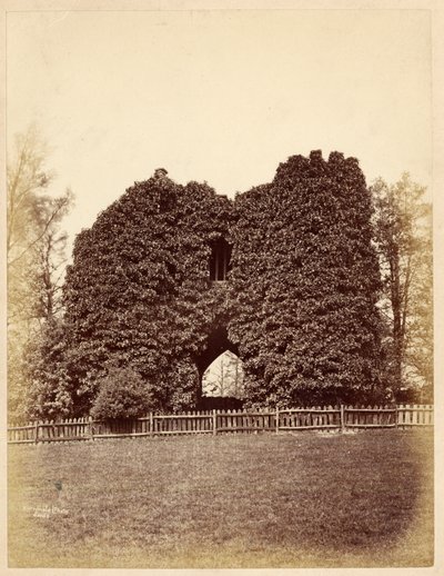 Utsikt över en dårskap i Roundhay Park (albumintryck) av Edward Wormald