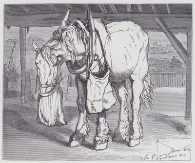 En vagnhäst av Edwin (after) Landseer