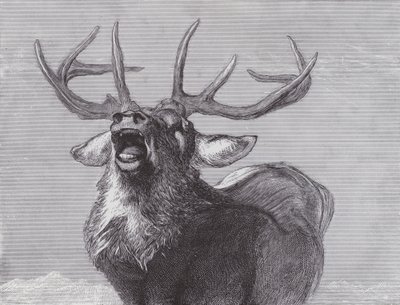 En utmaning av Edwin (after) Landseer