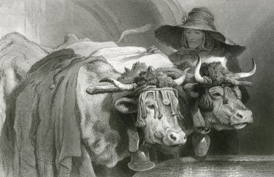 Oxar vid tanken, Genève (gravyr) av Edwin (after) Landseer