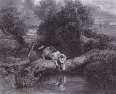 Hunden och skuggan (gravyr) av Edwin (after) Landseer