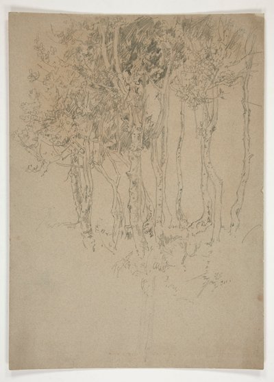 Skiss av en dunge av träd av Edwin Austin Abbey
