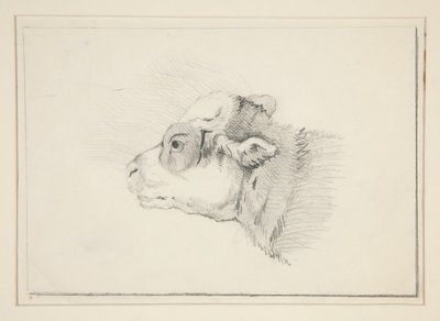 Skiss av ett får av Edwin Austin Abbey