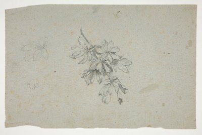 Studie av en gren med löv av Edwin Austin Abbey