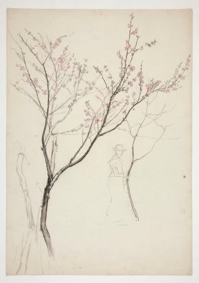 Studie av en figur under ett blommande träd av Edwin Austin Abbey