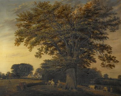 Binley Oak, 1848 av Edwin Brown