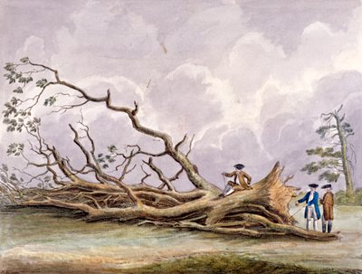 Träd skadade av en storm den 15 oktober, Roehampton, London, 1780 av Edwin Edwards