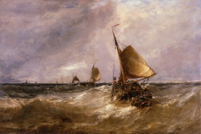 holländska rosa av Edwin Hayes
