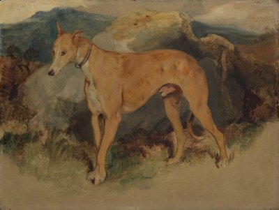 En rådjurshund, 1826. av Edwin Landseer