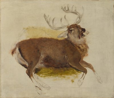 Döende Stag, ca. 1830. av Edwin Landseer