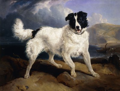 Ett porträtt av Neptunus, 1824 av Edwin Landseer