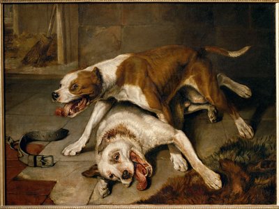 Chiens se battant, reprenant leur souffle - kamphundar som tar en paus för att andas ... av Edwin Landseer