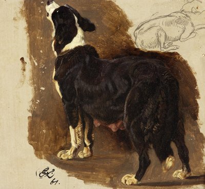 Collie Bitch (olja & penna på kort) av Edwin Landseer