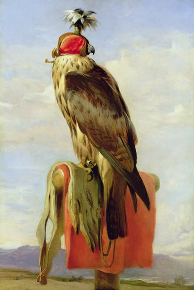 Hooded Falcon av Edwin Landseer