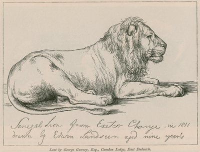 Senegal Lion från Exeter Change av Edwin Landseer