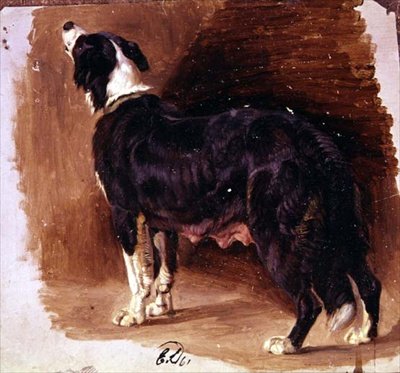 Skiss av en Collie av Edwin Landseer