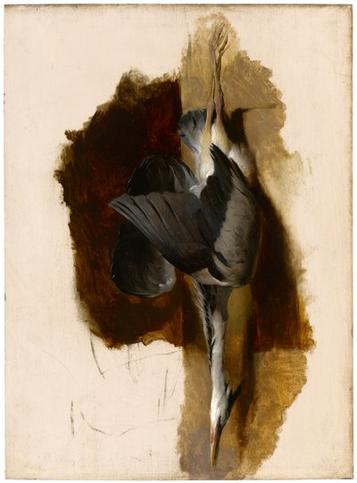 Studie av en död häger, ca 1832-33 av Edwin Landseer
