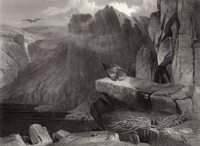 Örnboet av Edwin Landseer