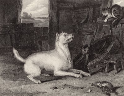 Inkräktaren av Edwin Landseer