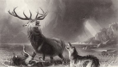 Stag at Bay av Edwin Landseer