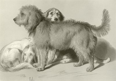 De tre hundarna av Edwin Landseer