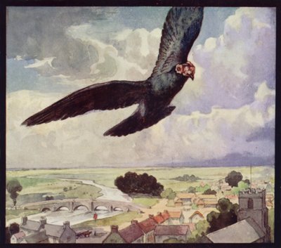 En bärduva på vingen (färg litho) av Edwin Noble