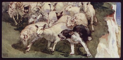 Bobtailed fårhund och flock på klipporna (färg litho) av Edwin Noble