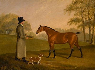 A Horse in a Landscape with the Groom, David, Bennet, c.1805 (olja på duk) av Edwin W. Cooper