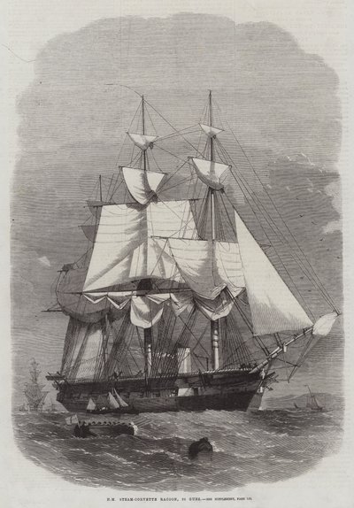 HM Steam-Corvette Racoon, 22 kanoner av Edwin Weedon