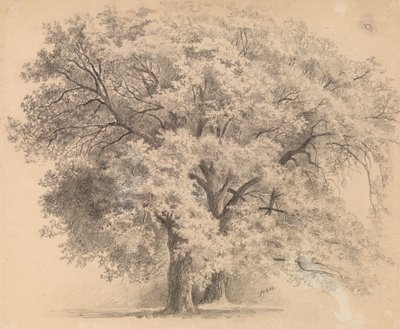  av Eero Järnefelt