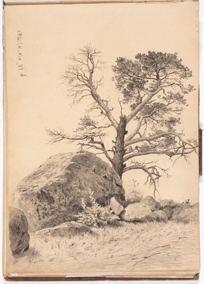  av Eero Järnefelt