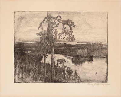 Utan titel av Eero Järnefelt