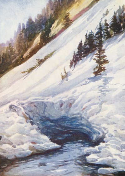 Schweiz av Effie Jardine