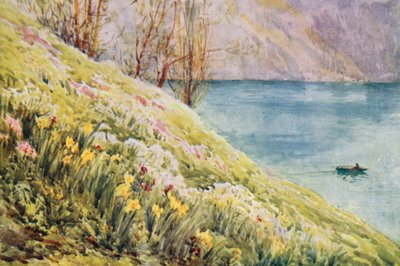 Schweiz av Effie Jardine