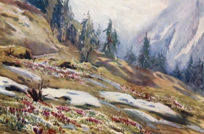 Schweiz av Effie Jardine