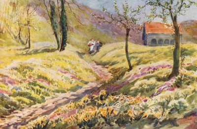 Schweiz av Effie Jardine
