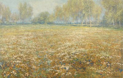 Äng i blom av Egbert Rubertus Derk Schaap