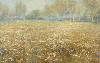 Äng i blom av Egbert Schaap